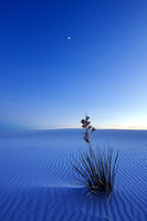 White Sands at Night