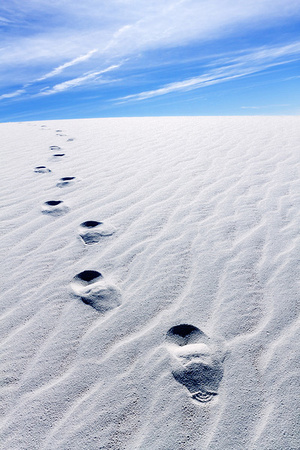 Footprints on Sand Dunes