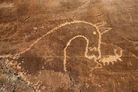 Horse Petroglyph